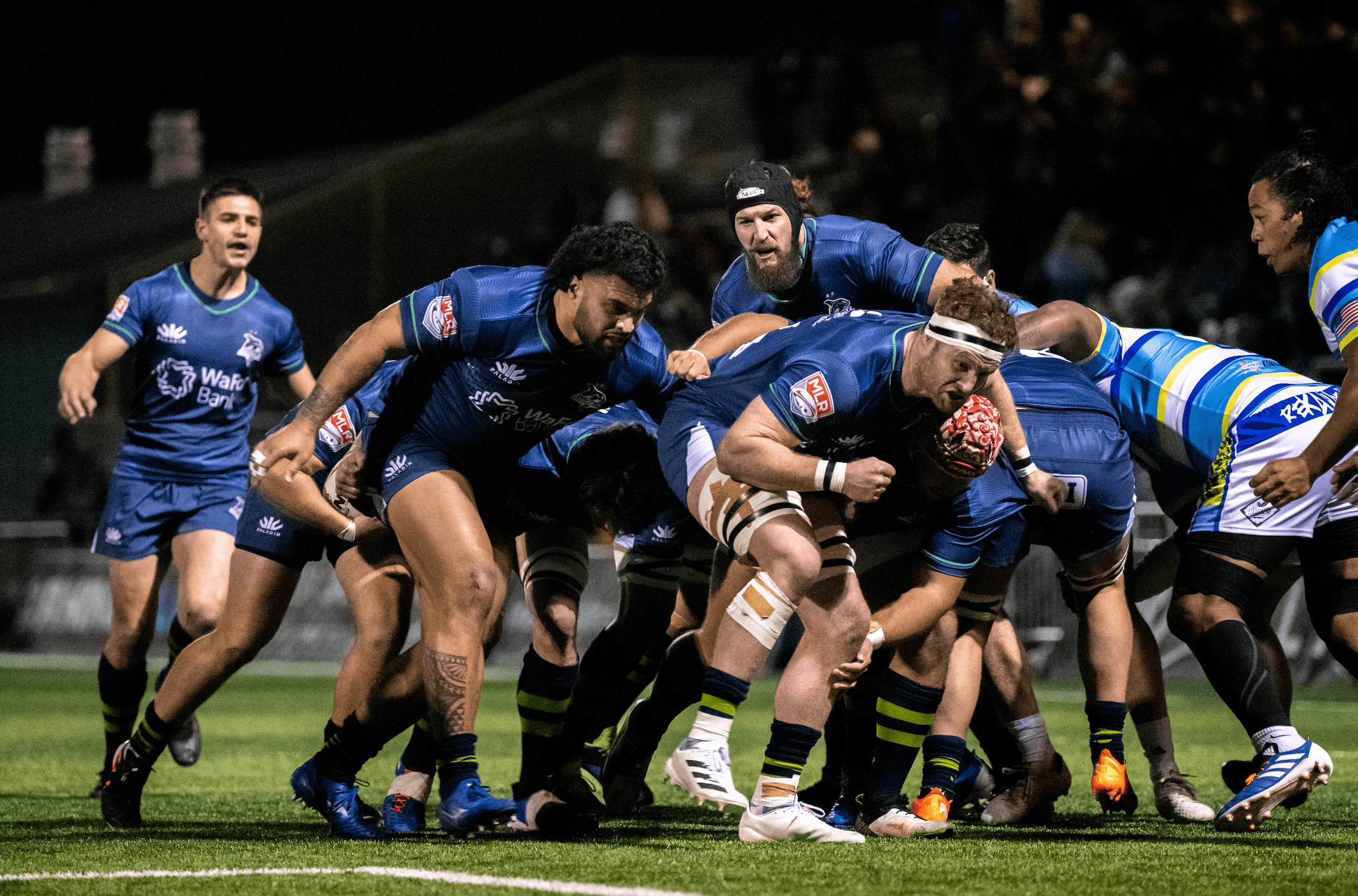 Seawolves Outhunt Harpooners to Wrap up Preseason