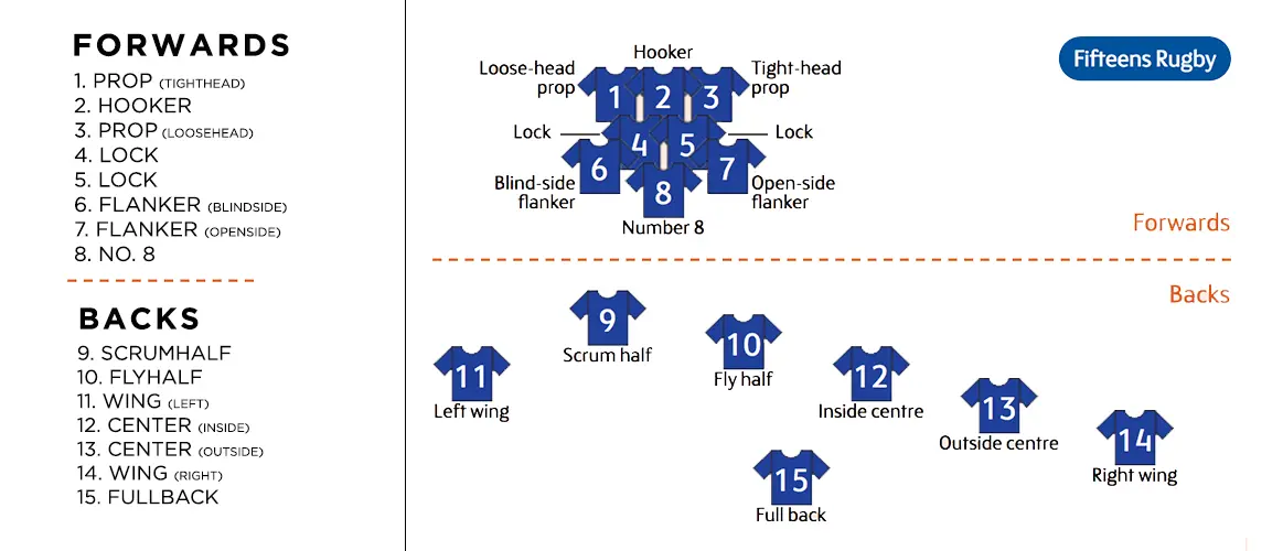 Rugby union player positions for forwards and backs