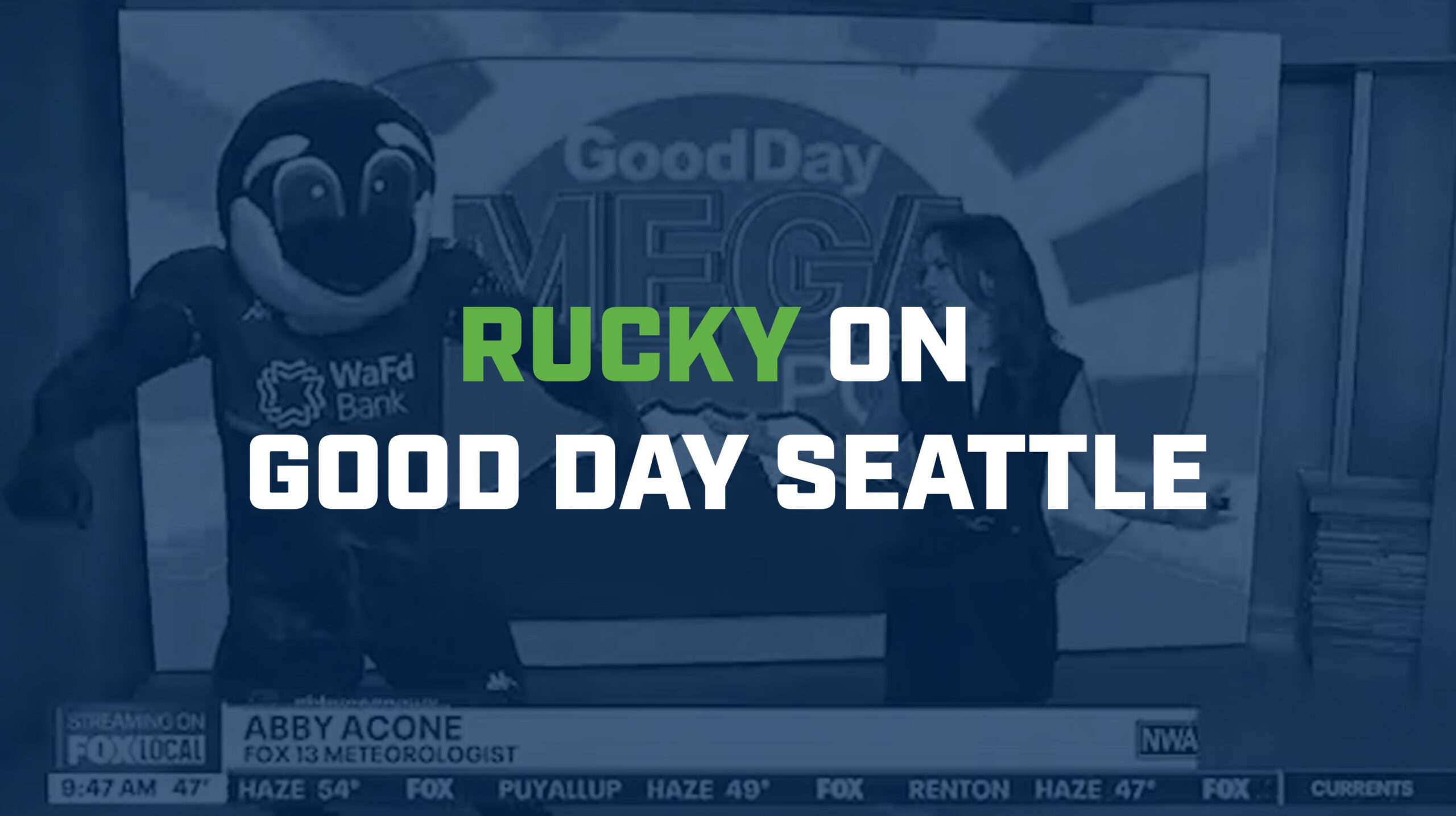 Rucky the SeaWolf Makes a Splash on Good Day Seattle